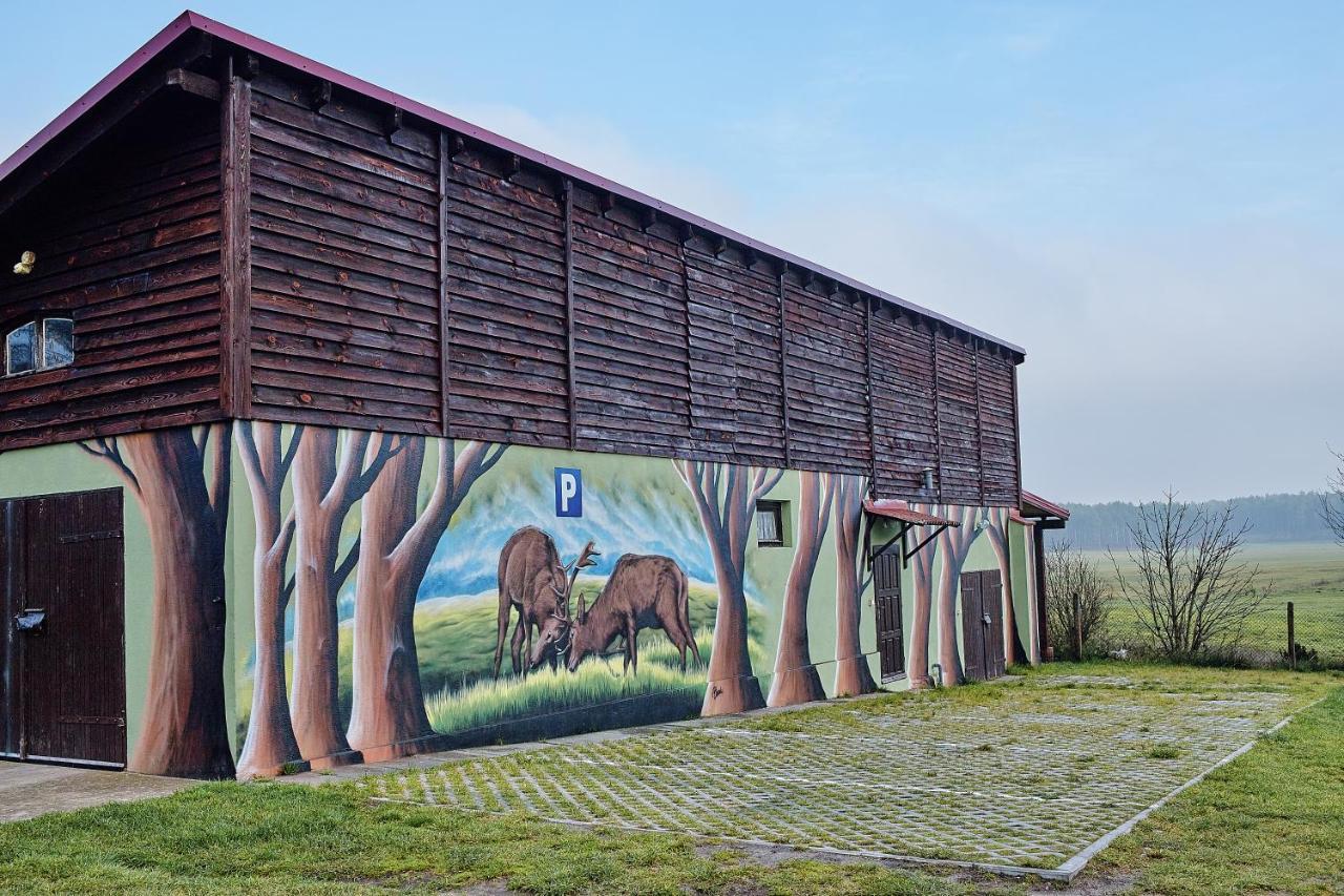 Gospodarstwo Agroturystyczne Antoniewo Villa Exterior photo